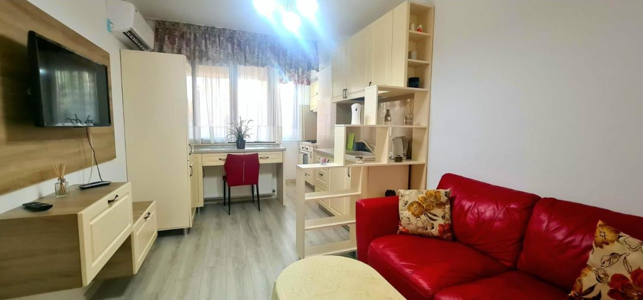 Elyse Comfortable Apartment Close To Palas Mall Iasi Eksteriør billede